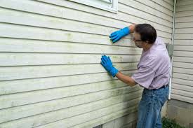 Best Fiber Cement Siding Installation  in Gonzales, TX